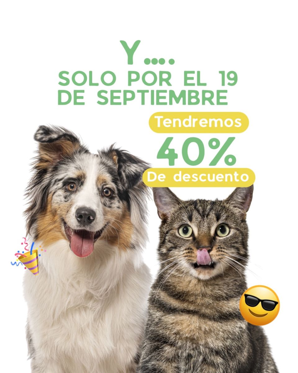 ¡40% DE DESCUENTO SOLO POR UN DÍA!💚