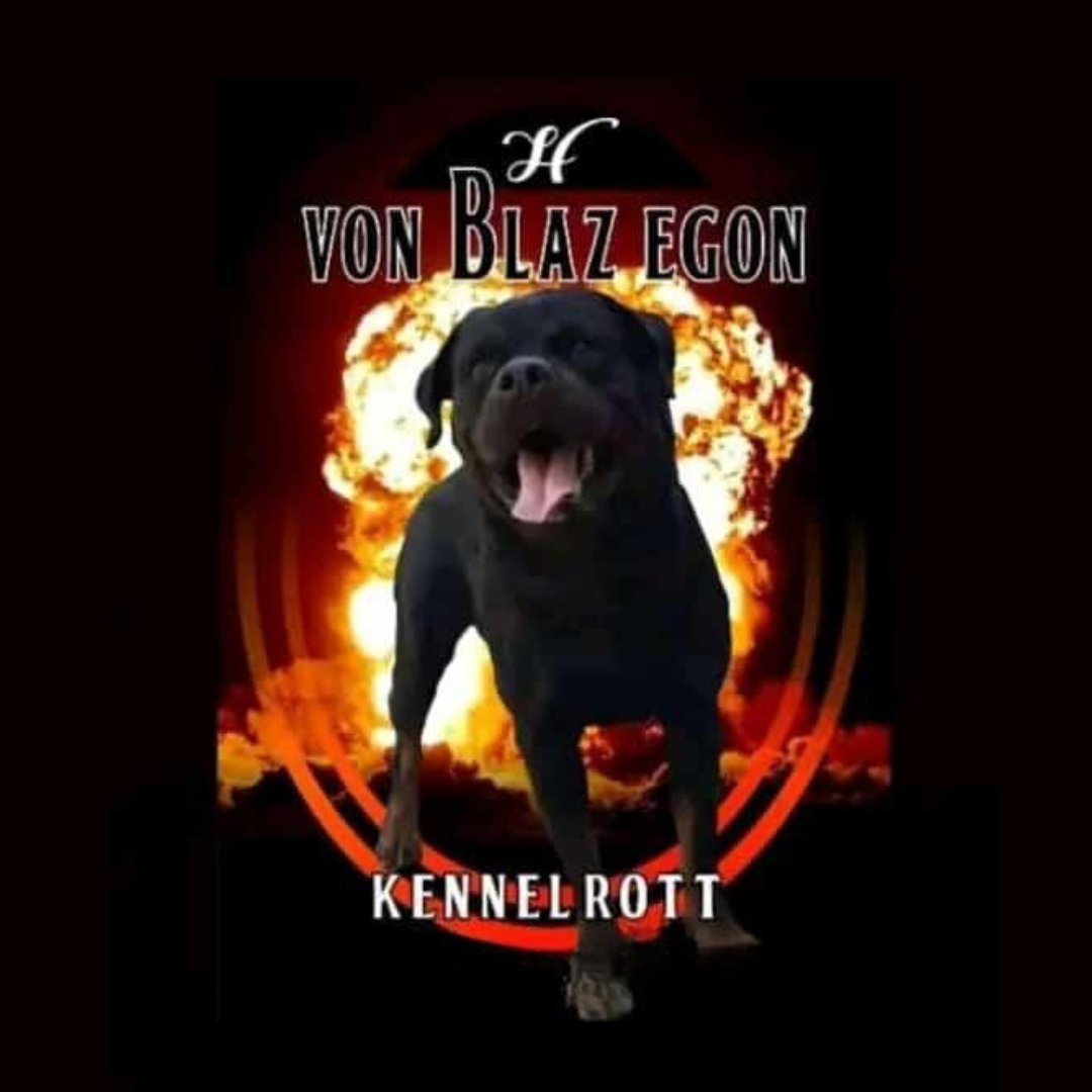 Von-Blaz