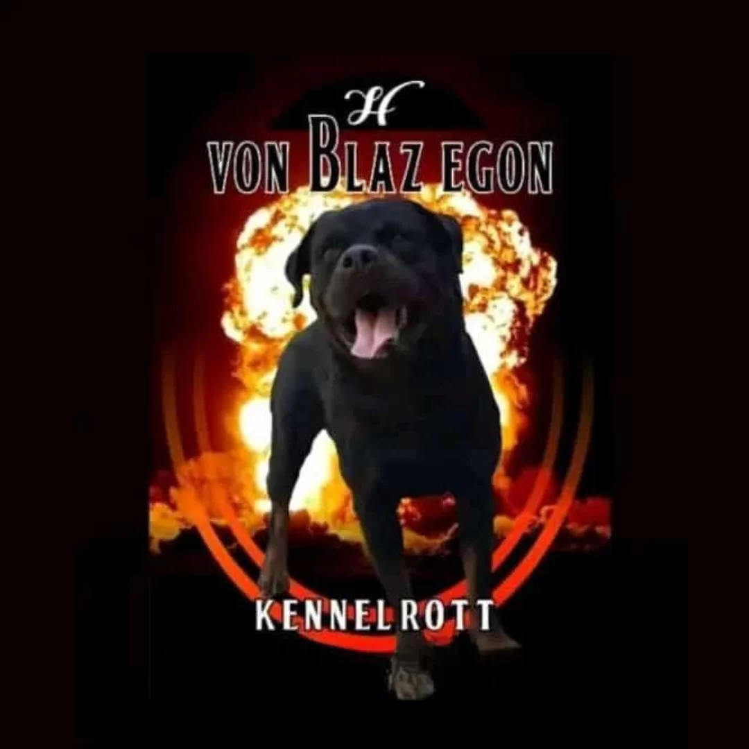 Von-Blaz